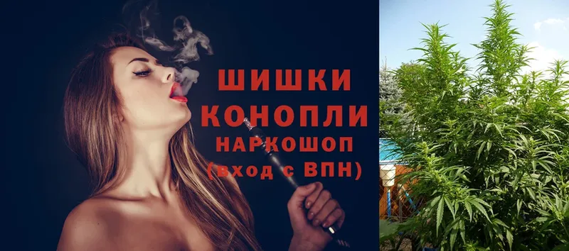 Шишки марихуана Ganja  Правдинск 